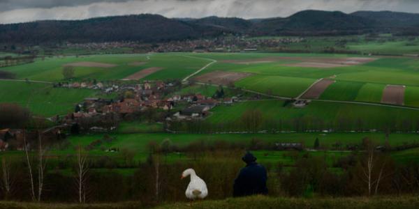 Des bêtes, des hommes et des dieux_7